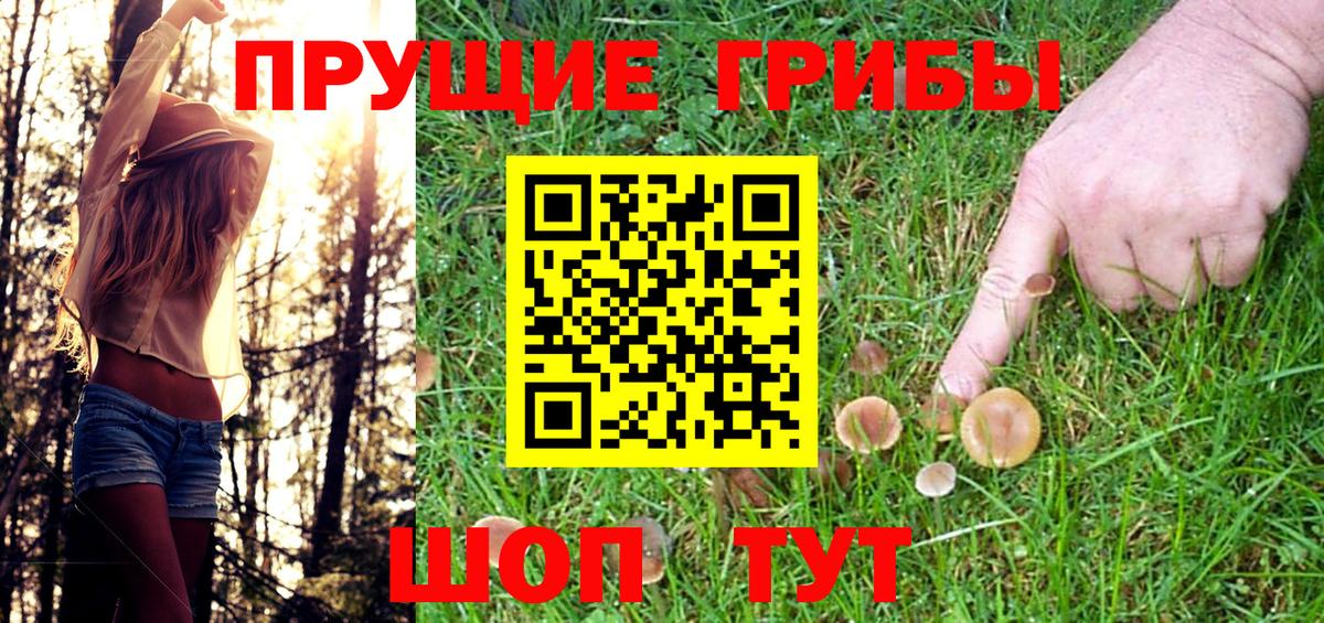 Галлюциногенные грибы мицелий Дубна