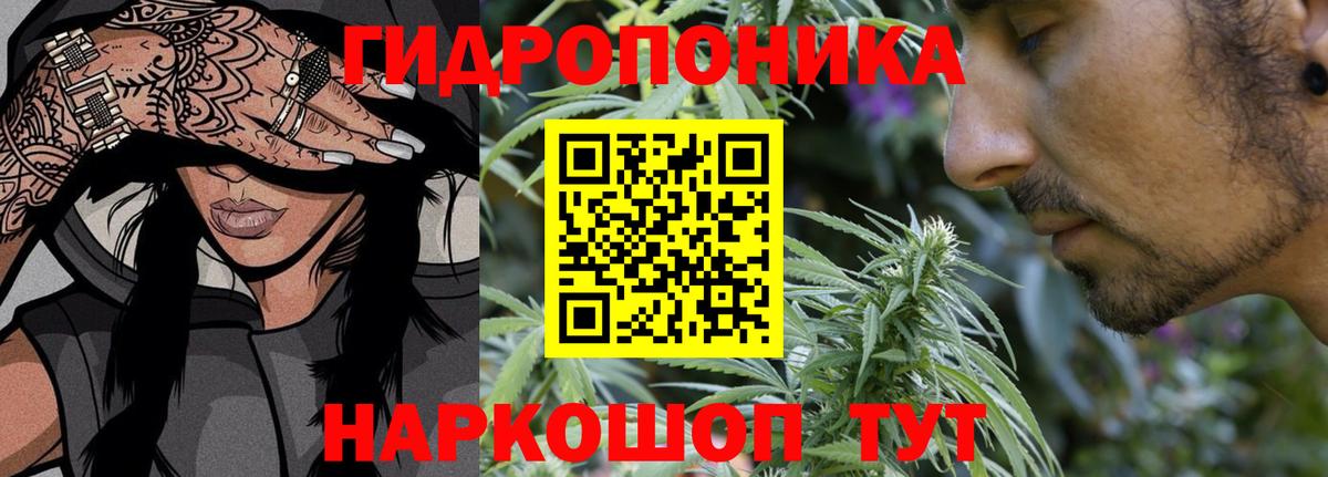 Конопля марихуана  Каннабис Amnesia  Дубна  Вход с VPN 